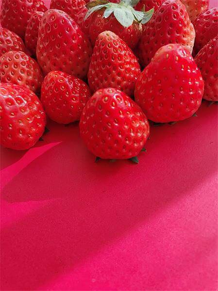 草莓照片